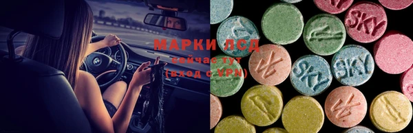 PSILOCYBIN Зеленокумск