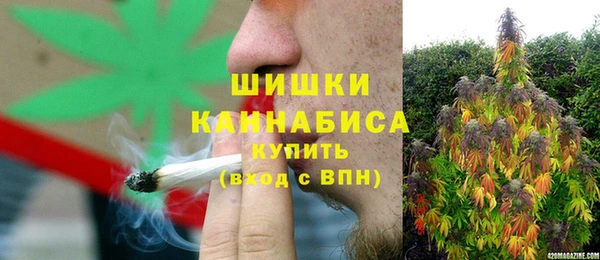 PSILOCYBIN Зеленокумск