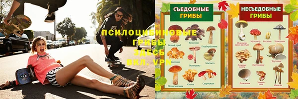 PSILOCYBIN Зеленокумск